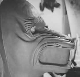 profile